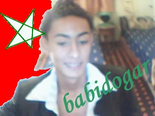 Ci  bab�dogar